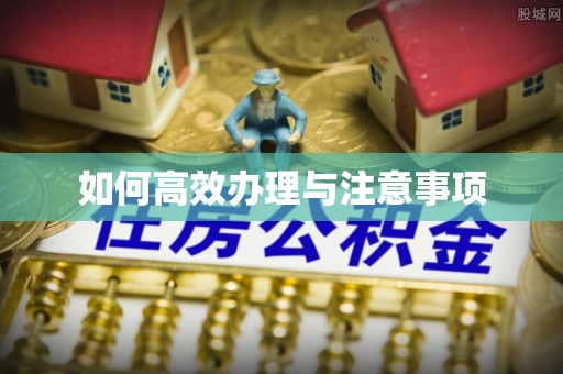 商城如何高效办理与注意事项