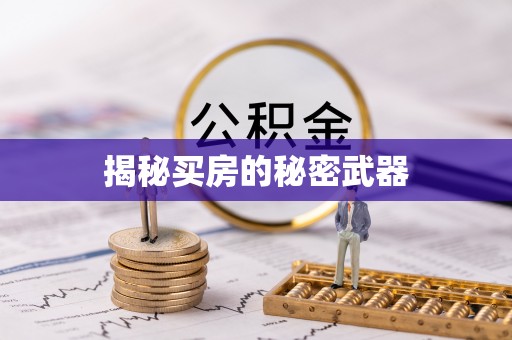 商城揭秘买房的秘密武器