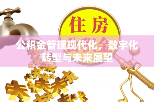 商城公积金管理现代化，数字化转型与未来展望