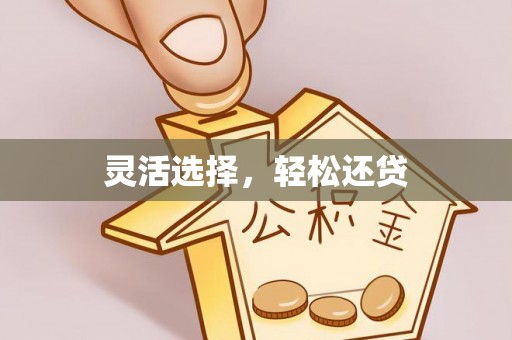 商城灵活选择，轻松还贷