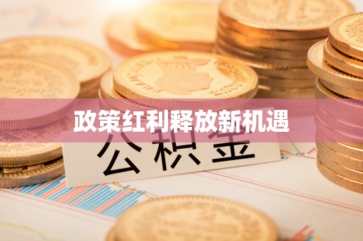 商城政策红利释放新机遇