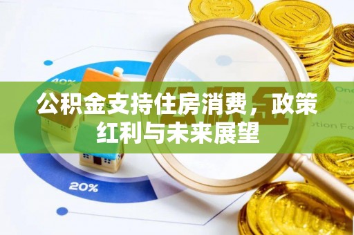 商城公积金支持住房消费，政策红利与未来展望