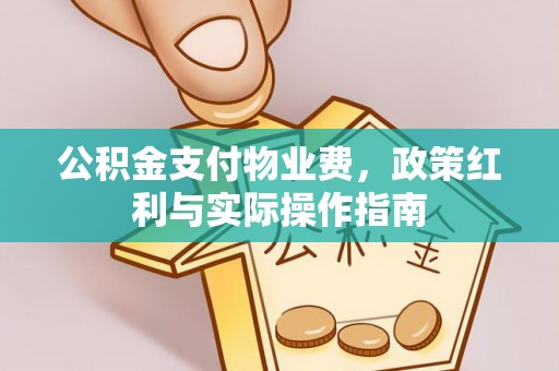 商城公积金支付物业费，政策红利与实际操作指南