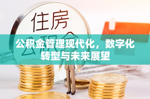 商城公积金管理现代化，数字化转型与未来展望