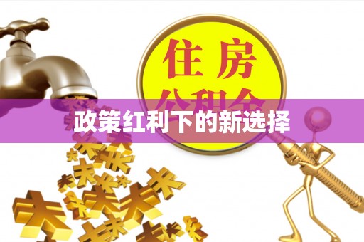 商城政策红利下的新选择