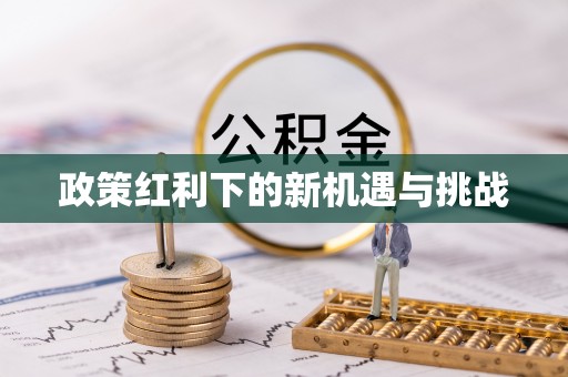 商城政策红利下的新机遇与挑战