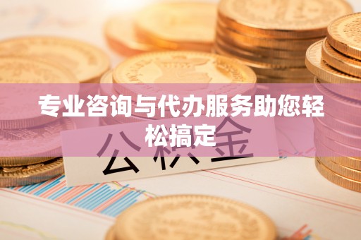 商城专业咨询与代办服务助您轻松搞定