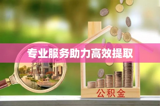 商城专业服务助力高效提取