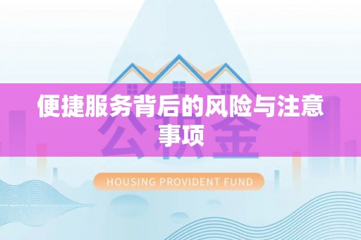 商城便捷服务背后的风险与注意事项