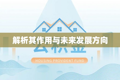 商城解析其作用与未来发展方向