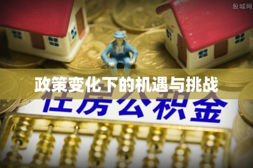 商城政策变化下的机遇与挑战