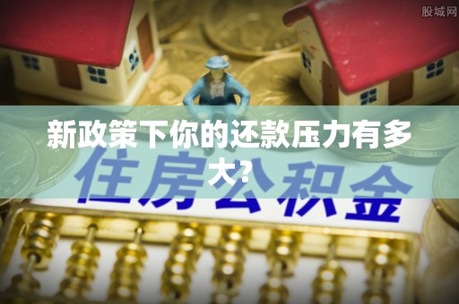 商城新政策下你的还款压力有多大？