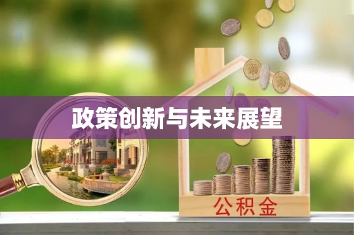 商城政策创新与未来展望